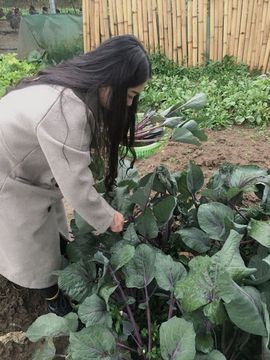 👑䒕暖宝好运旺旺旺主播照片