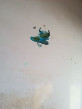 开心果的小情人主播照片