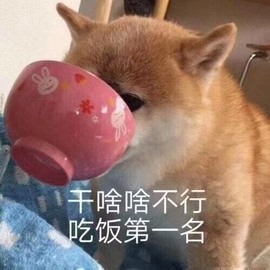 蓝小莓小朋友主播照片