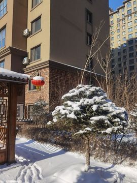 ︶刺挠丶主播照片