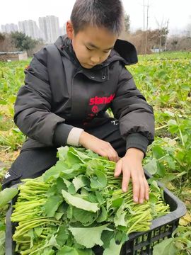 《余生随心》主播照片