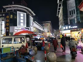 大军带你游玩上海主播照片