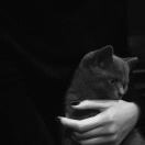 💙Cik-