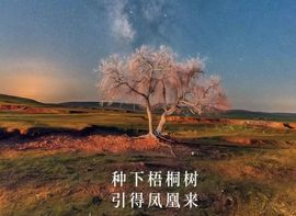 湉圈圈主播照片
