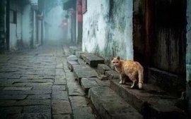~晚秋~~主播照片