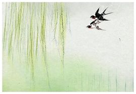小芳，🌸减肥打卡主播照片