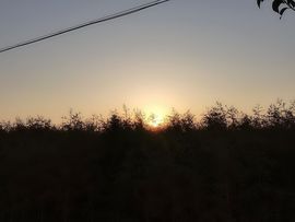 大家再见退了！主播照片