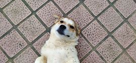 赵赵么么哒~~主播照片