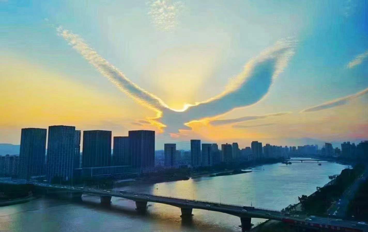 🎶琴儿🎶涅槃重生的图片