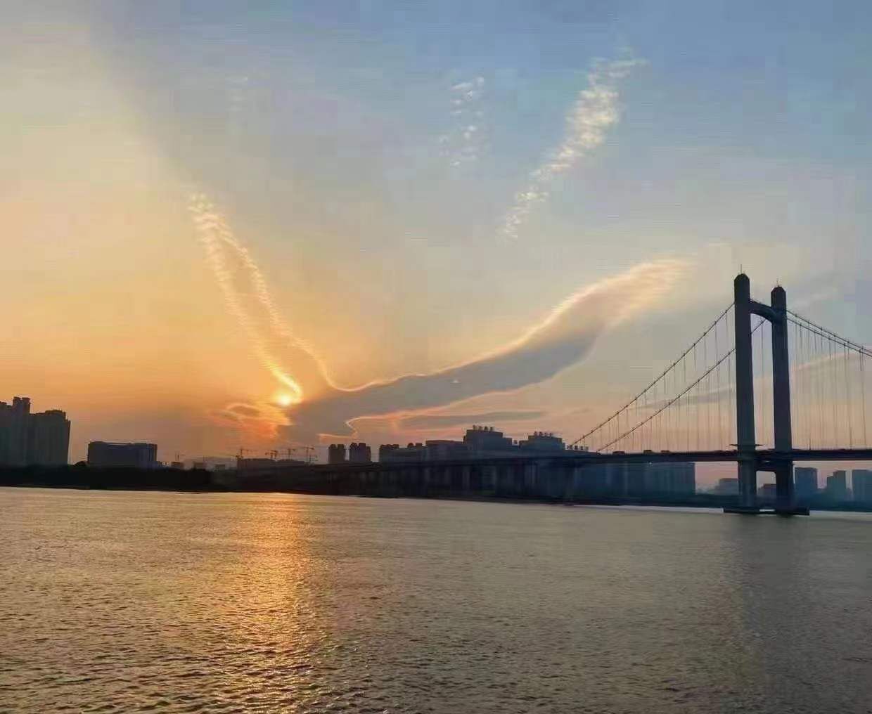 🎶琴儿🎶涅槃重生的图片