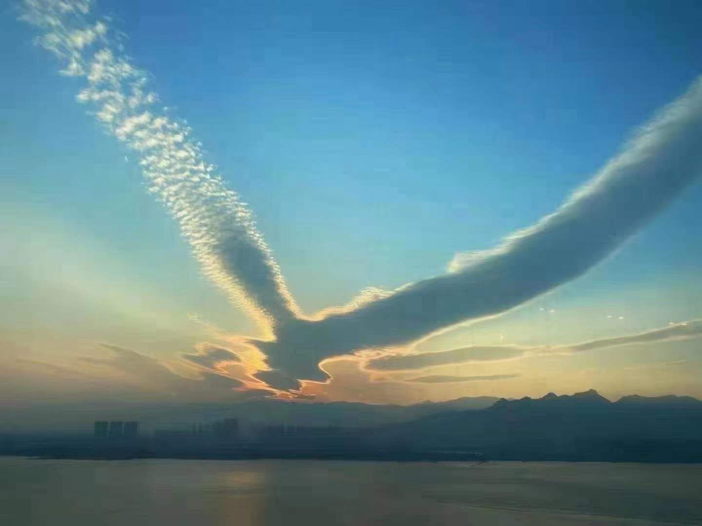 🎶琴儿🎶涅槃重生的图片