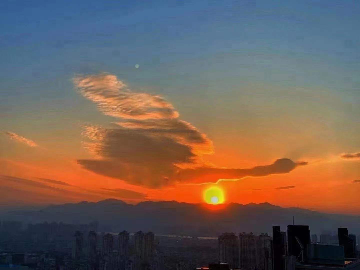 🎶琴儿🎶涅槃重生的图片