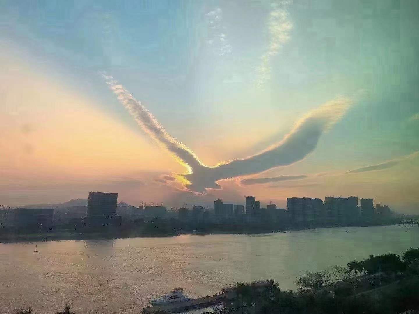 🎶琴儿🎶涅槃重生的图片