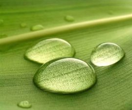 დ释怀დ主播照片
