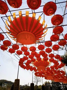 王龙哥🌹🌹🌹主播照片