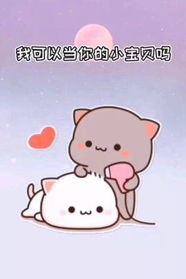 喵崽小花猫主播照片