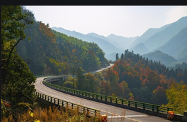 ♚~小巴豆~贪财好色的图片
