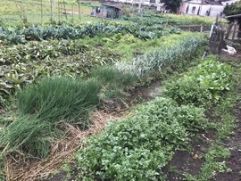 🌻ℱ七-安静唱歌主播照片