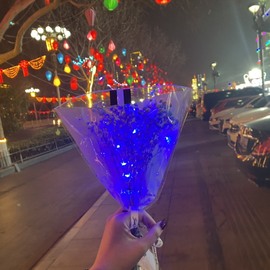 崽崽🧸停主播照片