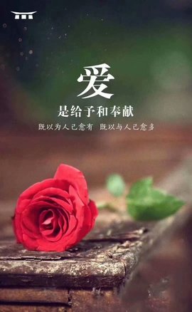 დ释怀დ主播照片