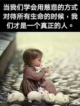 დ释怀დ主播照片