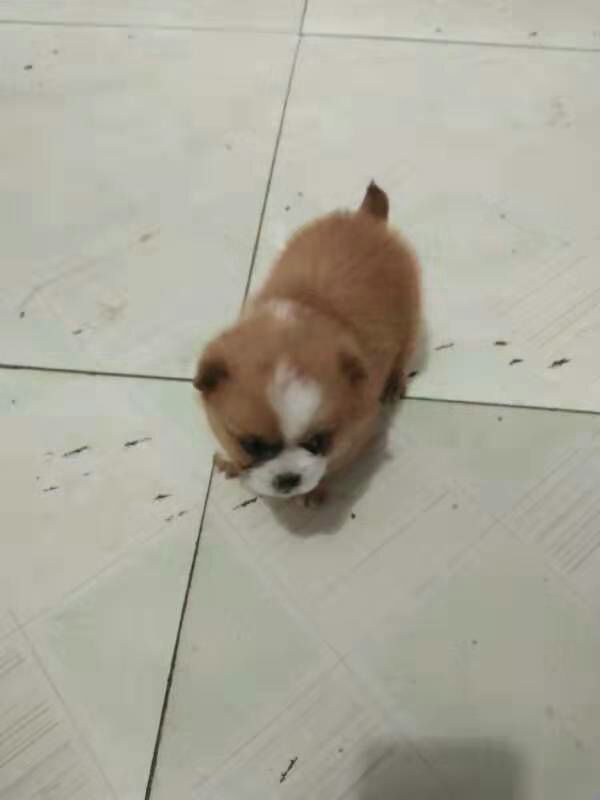 倾听落雨4806的主播照片
