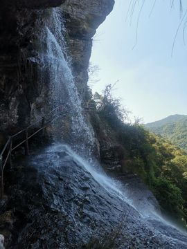 小鑫唱情歌主播照片