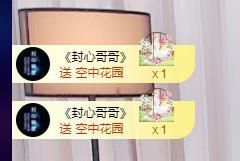 喵崽小花猫主播照片