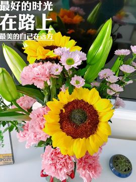 素雅依依暂休主播照片