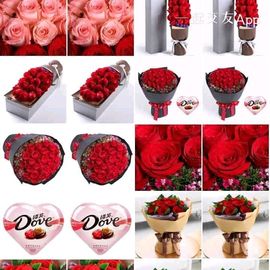 王龙哥🌹🌹🌹主播照片