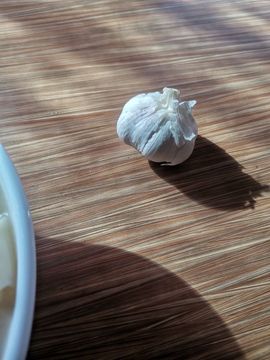 小龙虾（5135）主播照片