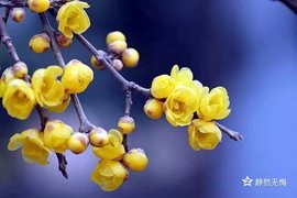 დ释怀დ主播照片