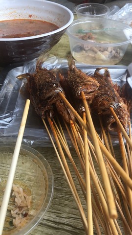 蓝小莓小朋友主播照片