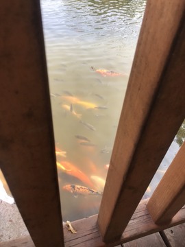 找我到781682主播照片