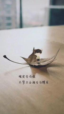 爱笑🌺好运常伴左右主播照片