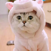 你的北冥