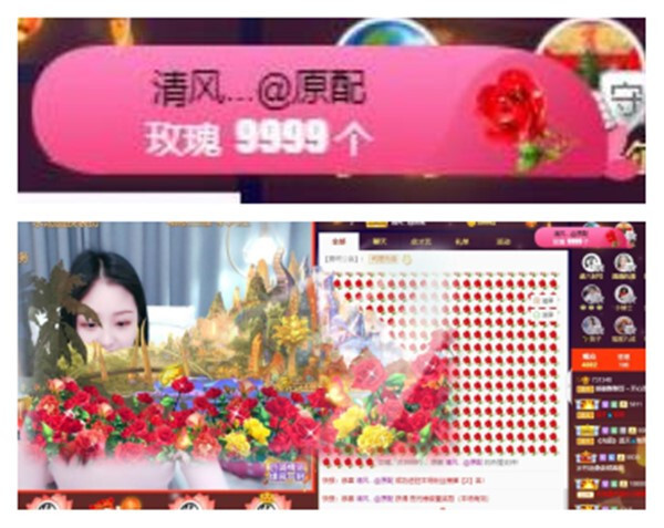 苏苏，越来越好的图片