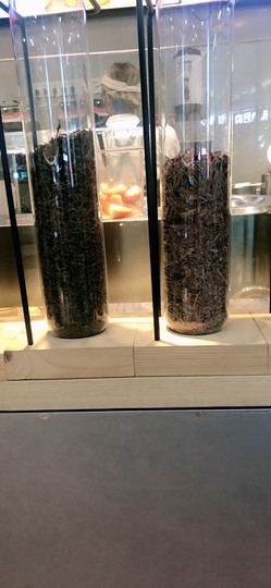 蓝小莓小朋友主播照片