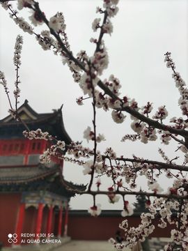 小阿琳🎶主播照片