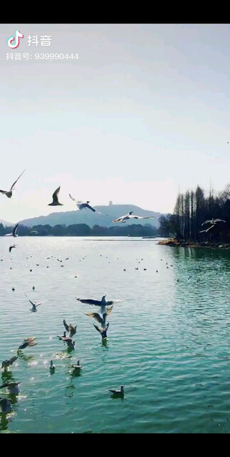 人生只有一次，愿你都