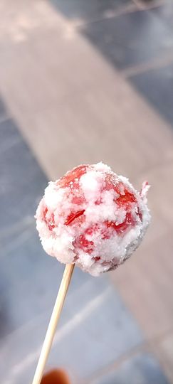 👑䒕暖宝好运旺旺旺主播照片