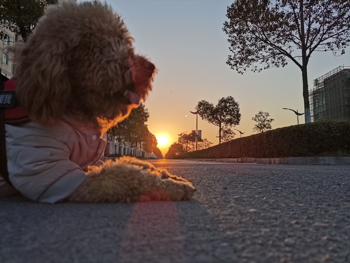 虹宝❣️的图片