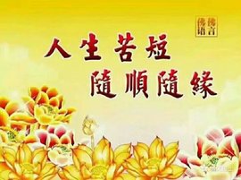 დ释怀დ主播照片