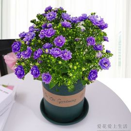 我元帥哥哥主播照片