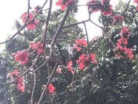 星宇🌟主播照片