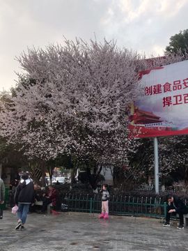 叶65658主播照片