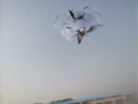 知己知辟百战不殆主播照片