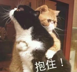 新人💕木子不定时播主播照片