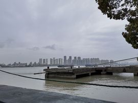 大军带你游玩上海主播照片