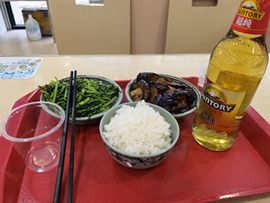 大军带你游玩上海主播照片